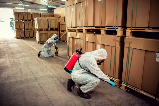 Best Pest Control Near Me in Streetsboro, OH