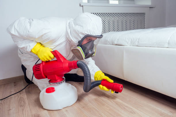 Best Local Pest Control Services  in Streetsboro, OH