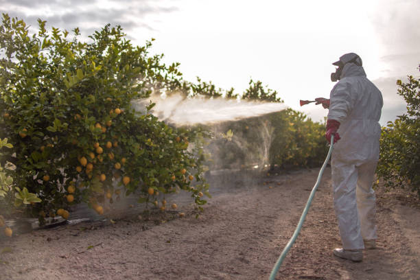 Best Commercial Pest Control Services  in Streetsboro, OH