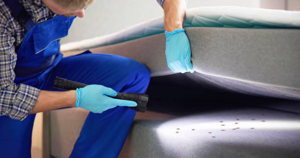 Best Affordable Pest Control Services  in Streetsboro, OH