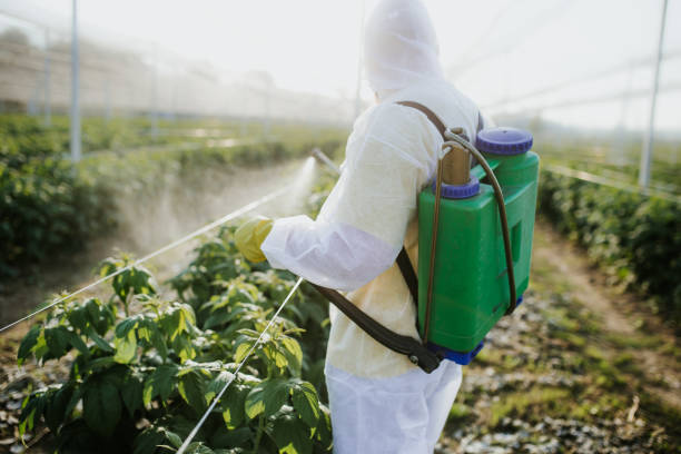 Best Commercial Pest Control Services  in Streetsboro, OH